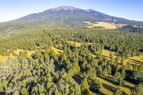 10 Acres of Recreational Land for Sale in Flagstaff, Arizona