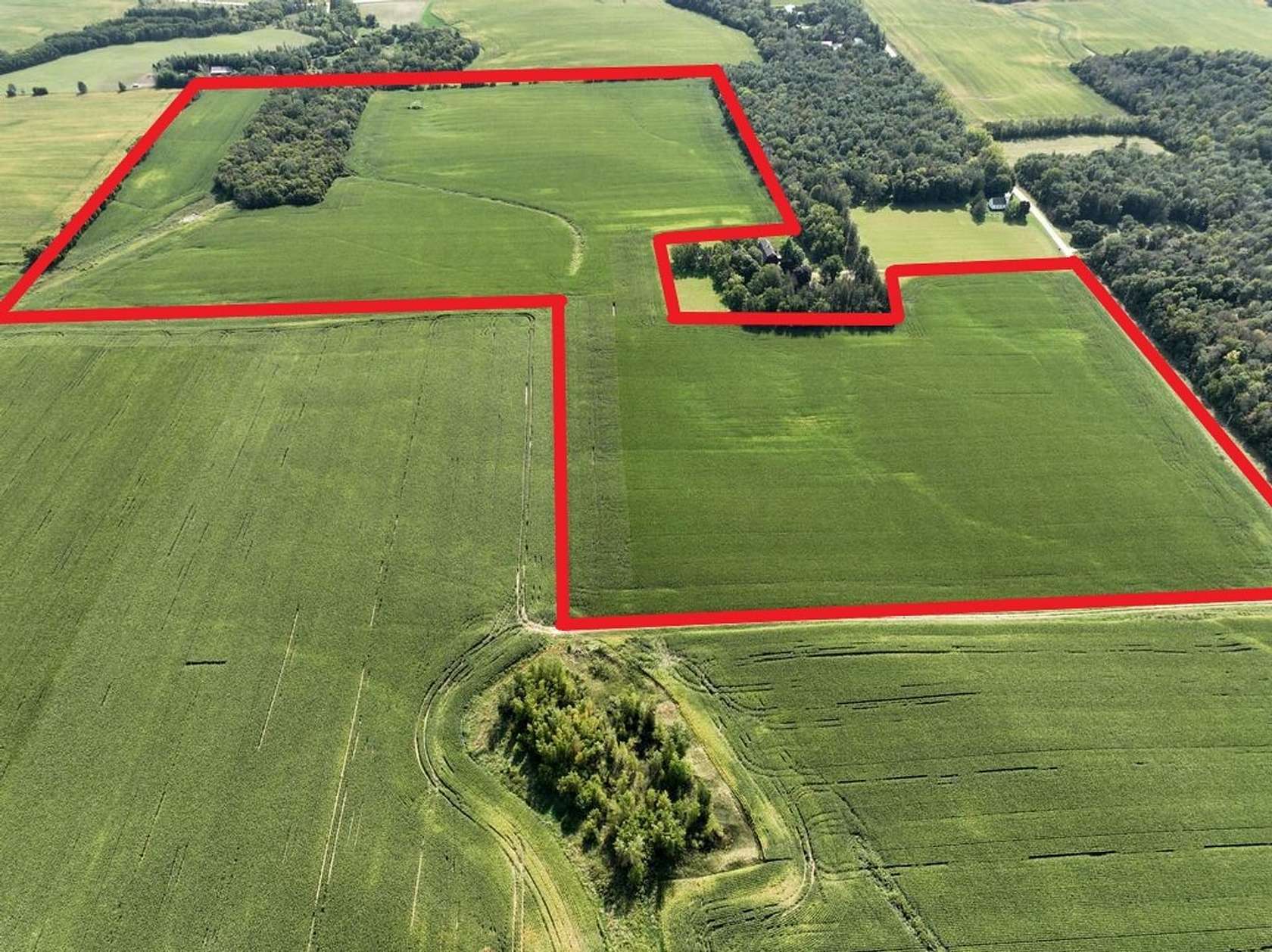 99.33 Acres of Agricultural Land for Auction in Dennison, Minnesota