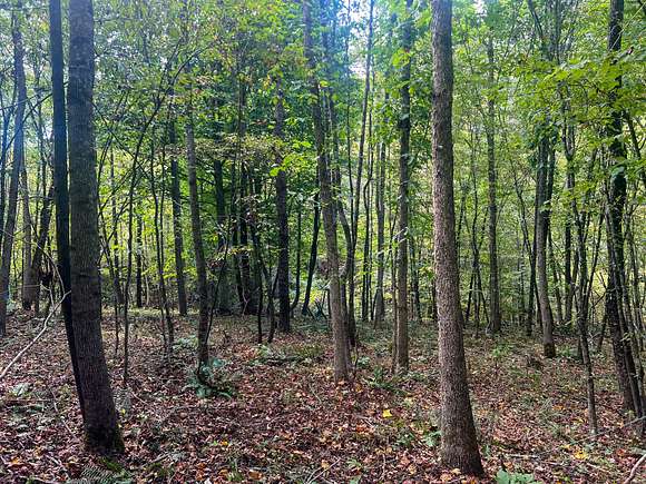 10.35 Acres of Recreational Land for Sale in Vinton, Ohio