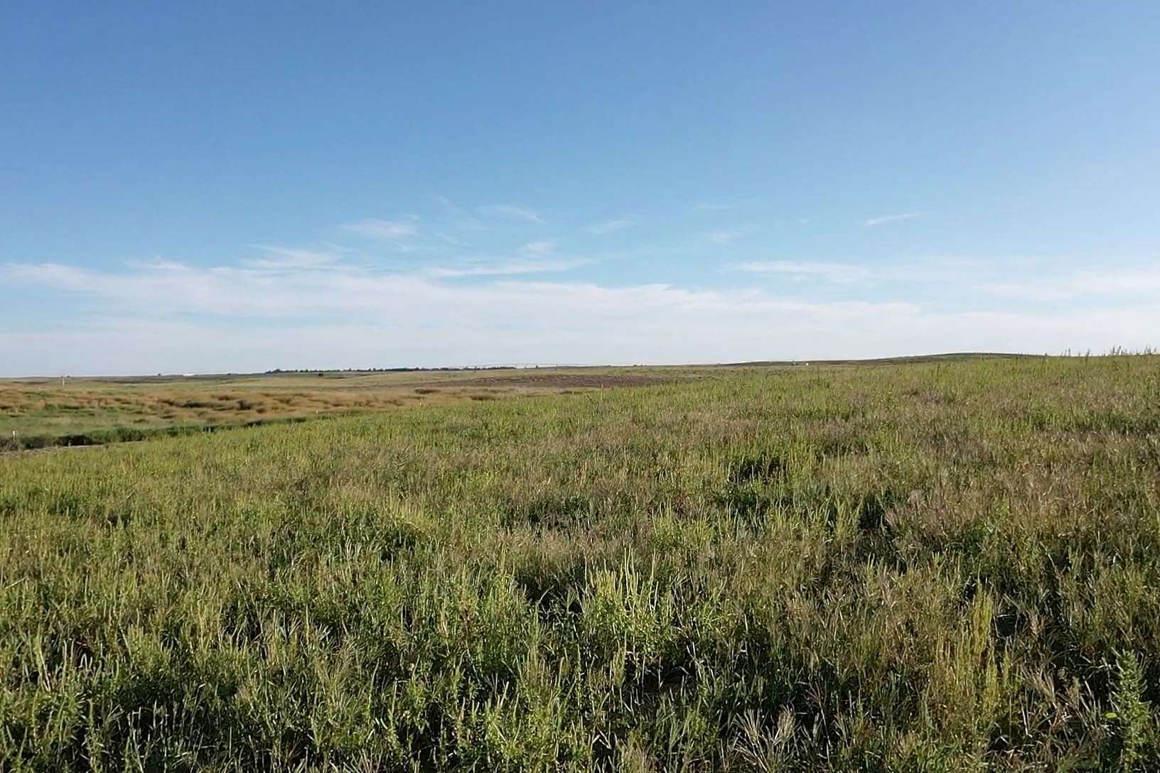 317 Acres of Recreational Land & Farm for Sale in Ingalls, Kansas