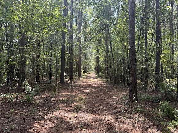 40 Acres of Land for Sale in Liberty, Mississippi