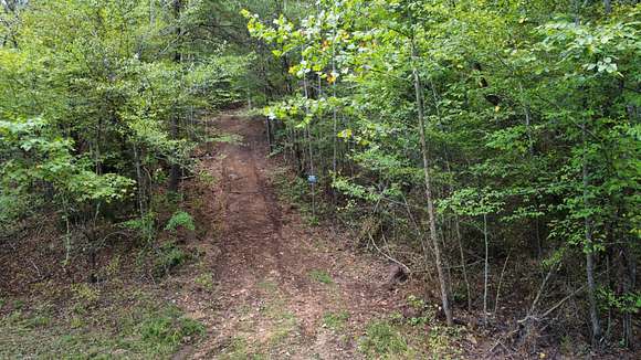 33.61 Acres of Land for Sale in Hohenwald, Tennessee