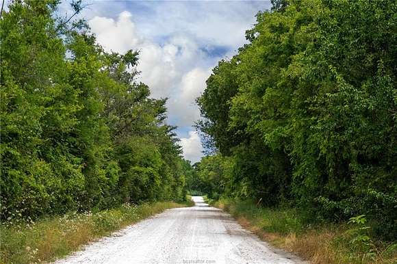 10.5 Acres of Land for Sale in Iola, Texas