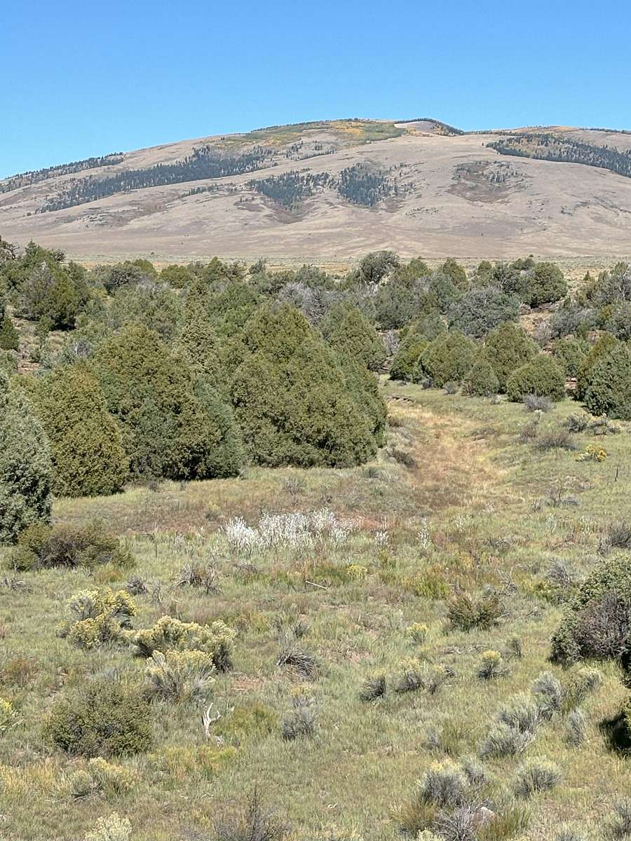 20 Acres of Recreational Land & Farm for Sale in Tres Piedras, New Mexico