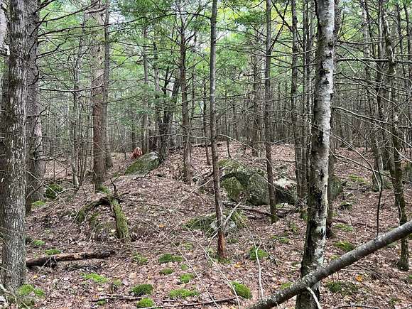 11 Acres of Recreational Land for Sale in Northwood, New Hampshire