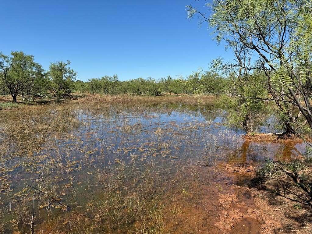 60 Acres of Land for Sale in Snyder, Texas