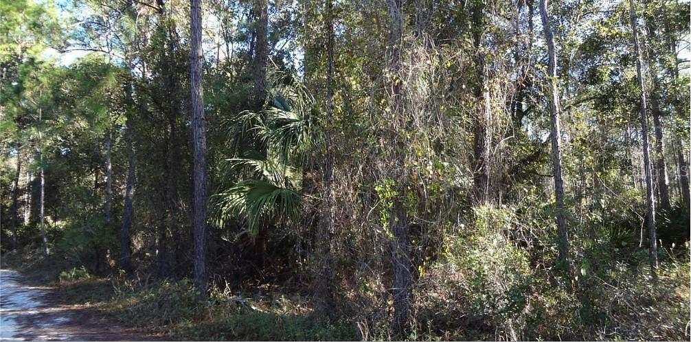 1.25 Acres of Residential Land for Sale in DeLand, Florida