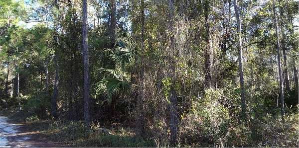 1.25 Acres of Land for Sale in DeLand, Florida