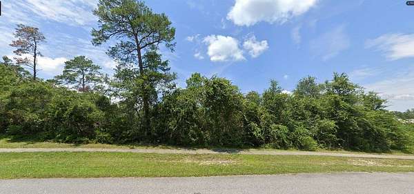 0.39 Acres of Land for Sale in Deltona, Florida
