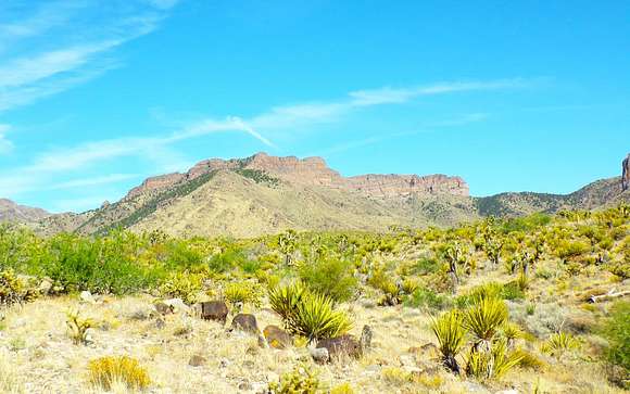 2 Acres of Residential Land for Sale in Dolan Springs, Arizona