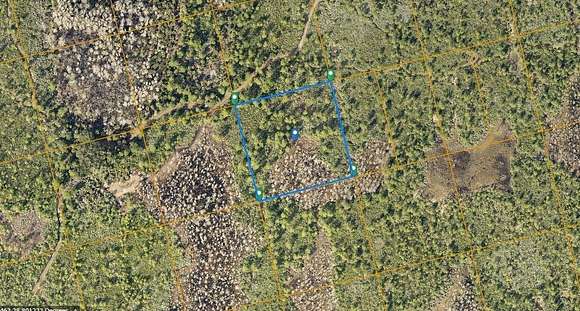 2.5 Acres of Land for Sale in Oak Hill, Florida