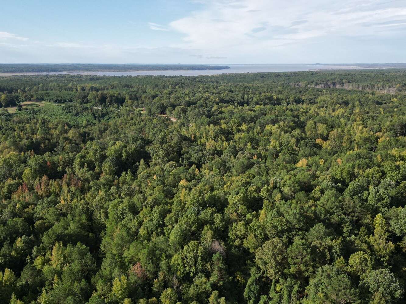 41.6 Acres of Recreational Land for Sale in Coffeeville, Mississippi