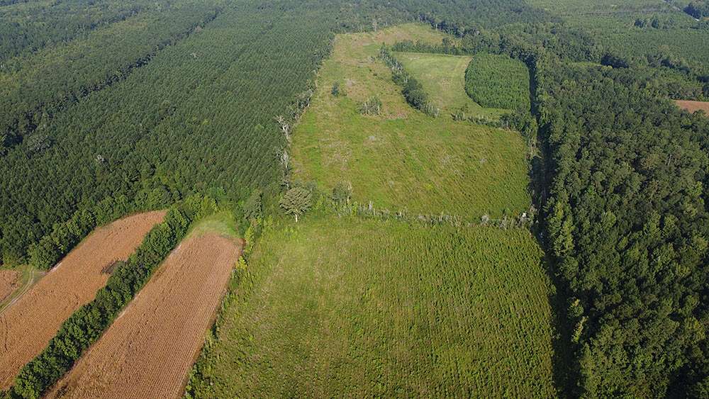 63 Acres of Recreational Land & Farm for Sale in Johnsonville, South Carolina