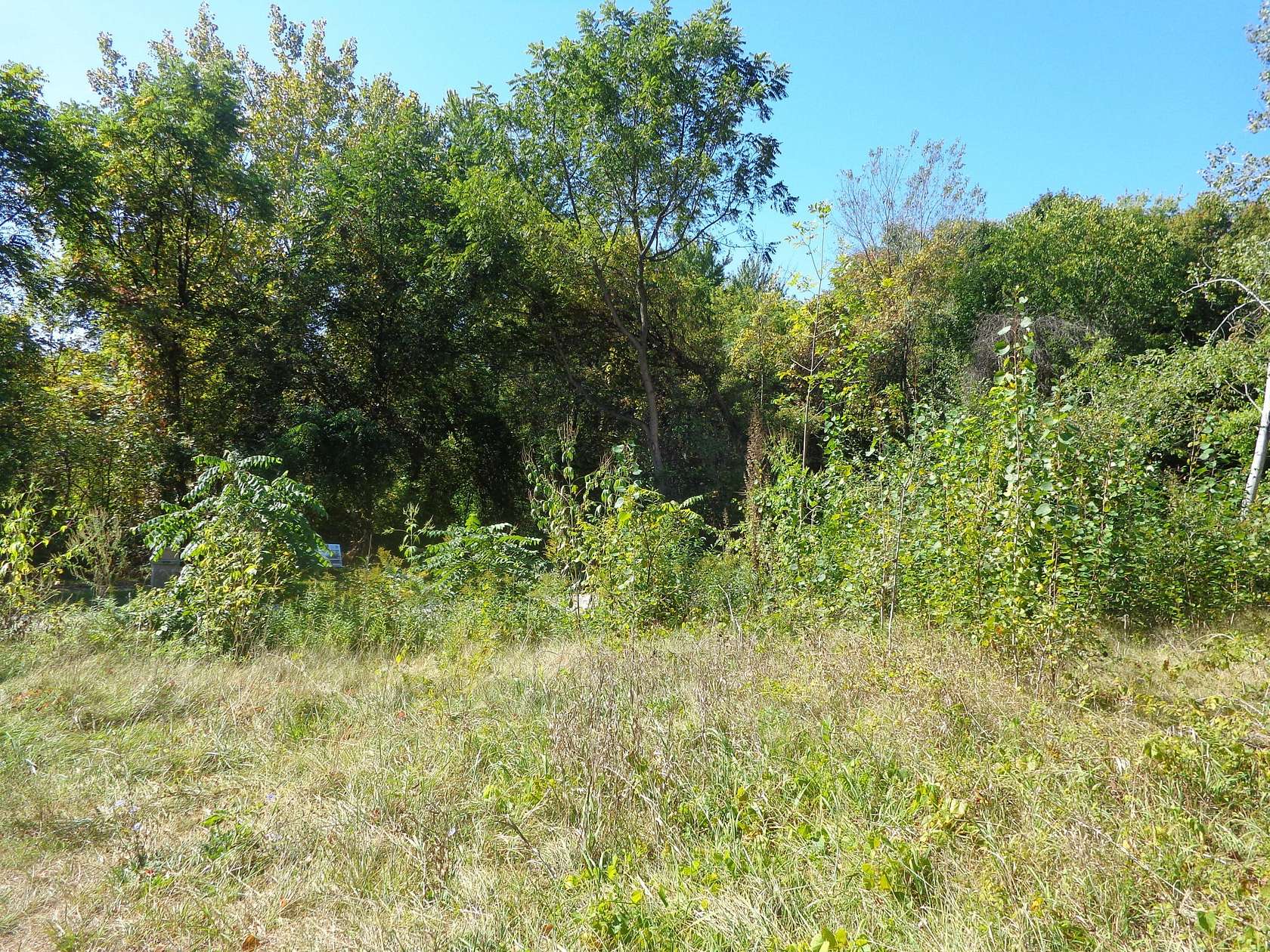 0.57 Acres of Residential Land for Sale in Lacota, Michigan