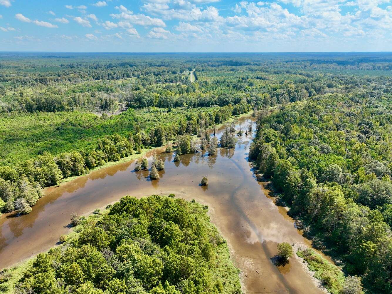 140 Acres of Recreational Land for Sale in Demopolis, Alabama