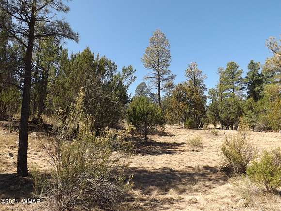 0.85 Acres of Residential Land for Sale in Heber, Arizona