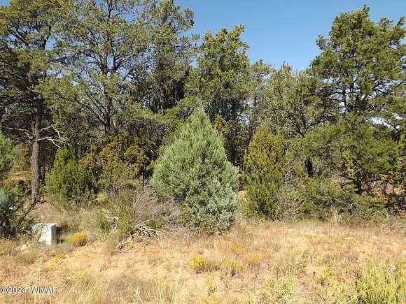 0.41 Acres of Residential Land for Sale in Heber, Arizona