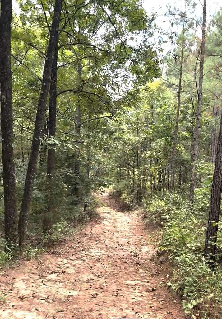 14.88 Acres of Recreational Land for Sale in Banks, Alabama