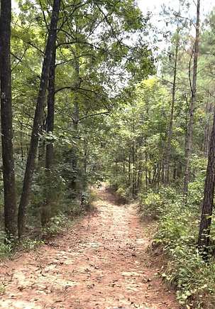 14.9 Acres of Recreational Land for Sale in Banks, Alabama