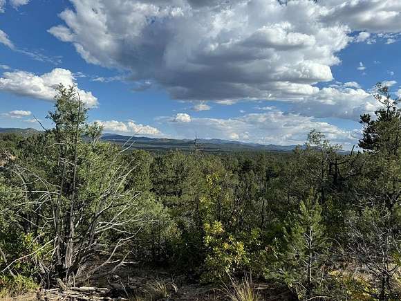 2.31 Acres of Land for Sale in Cotopaxi, Colorado