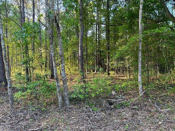 1.04 Acres of Residential Land for Sale in Hollywood, South Carolina