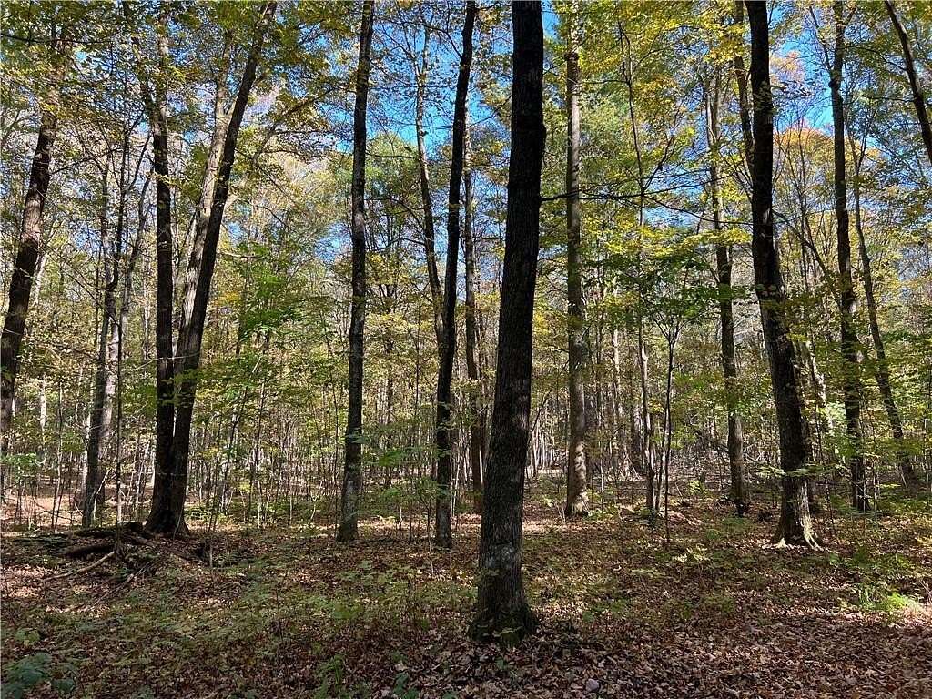 20 Acres of Recreational Land for Sale in Rice Lake, Wisconsin