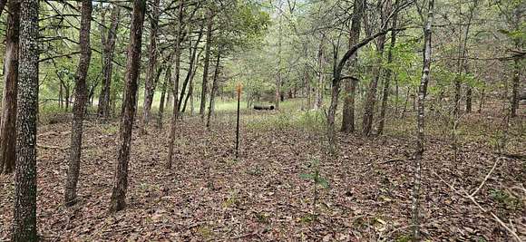 10.9 Acres of Land for Sale in Mountain Home, Arkansas