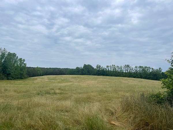 185 Acres of Agricultural & Residential Land for Sale in Pontotoc, Mississippi