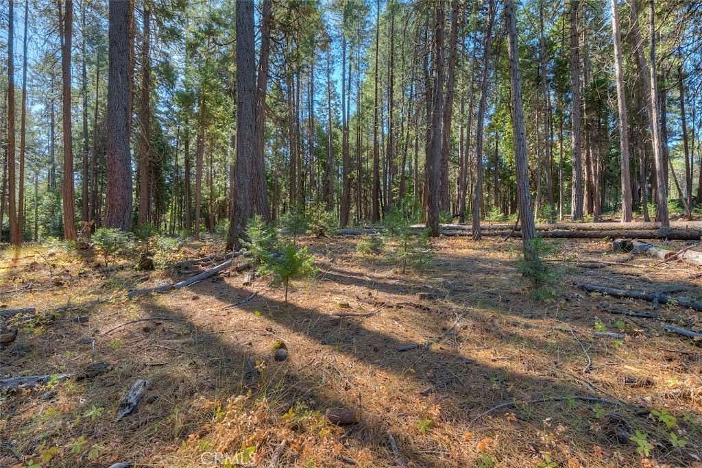 3 Acres of Residential Land for Sale in Magalia, California