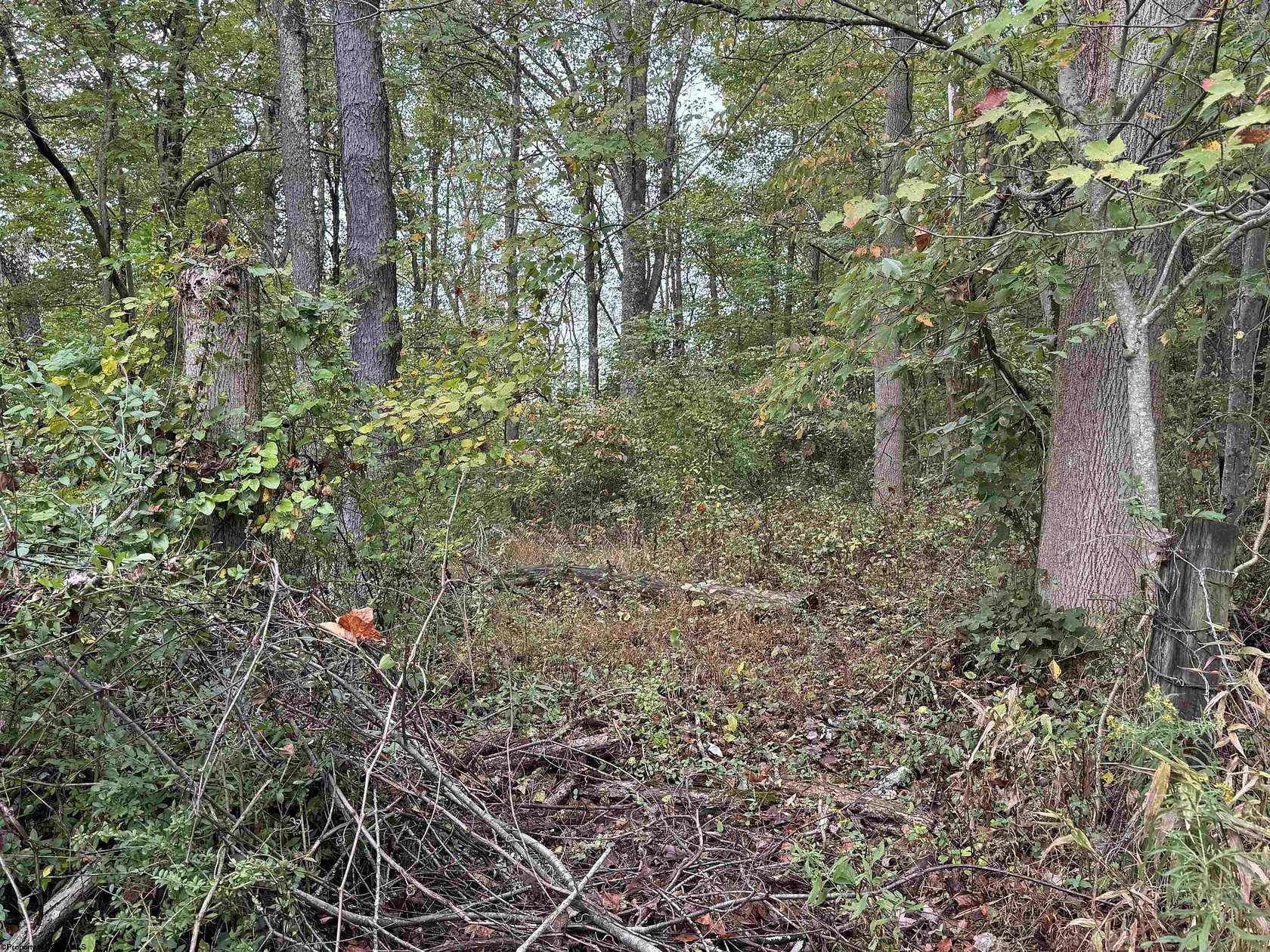 2.3 Acres of Residential Land for Sale in Monongah, West Virginia