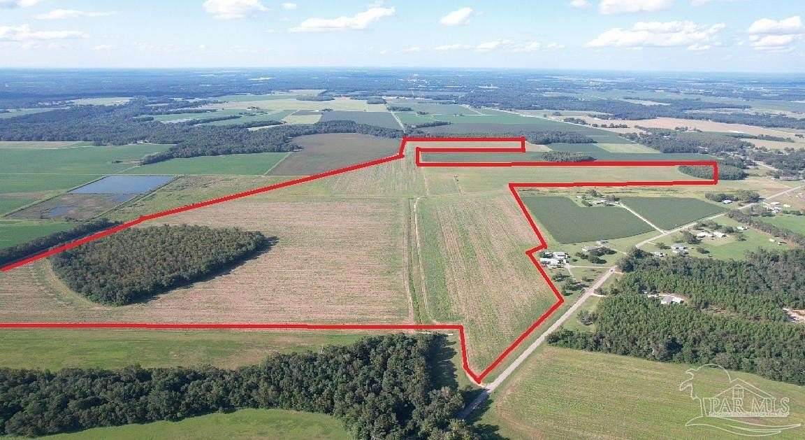 248 Acres of Agricultural & Residential Land for Sale in Walnut Hill, Florida