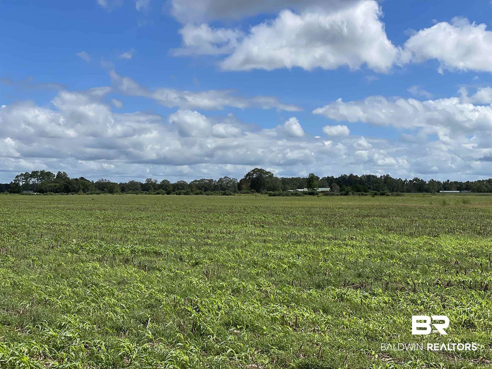 248 Acres of Agricultural Land for Sale in Walnut Hill, Florida