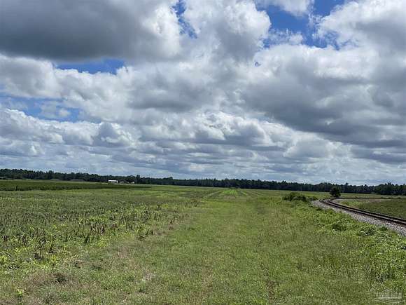 248 Acres of Agricultural Land for Sale in Walnut Hill, Florida