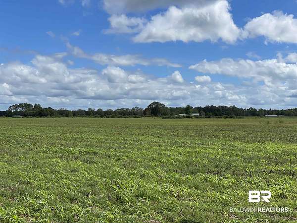 248 Acres of Agricultural Land for Sale in Walnut Hill, Florida