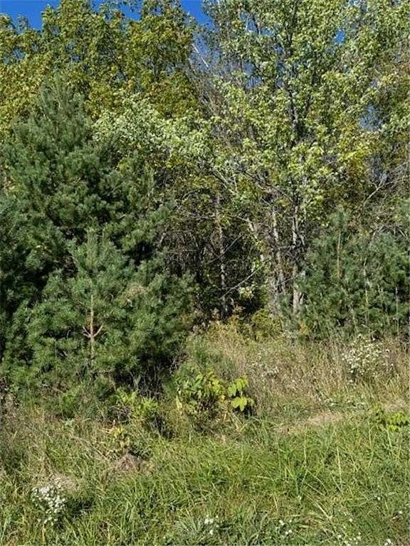 5 Acres of Residential Land for Sale in Grant, Minnesota