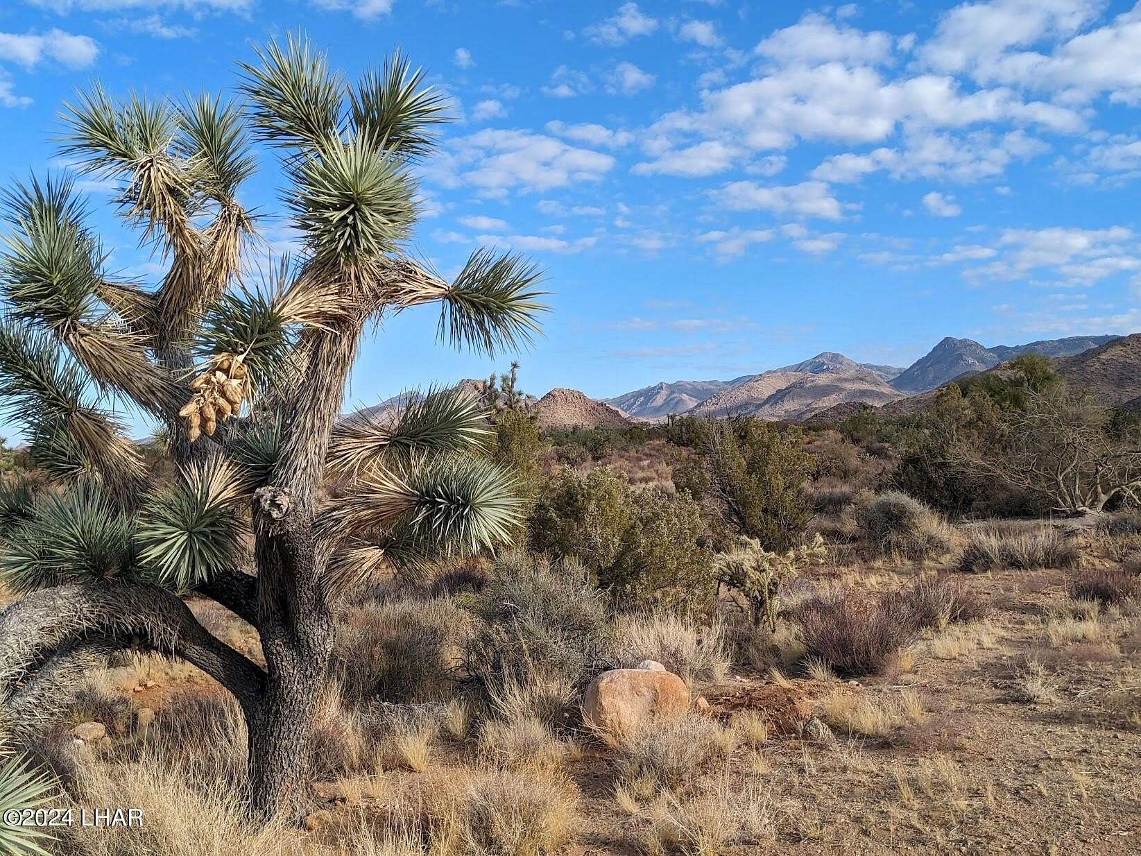 39.94 Acres of Land for Sale in Yucca, Arizona