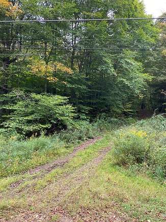 13.61 Acres of Land for Sale in Roulette, Pennsylvania