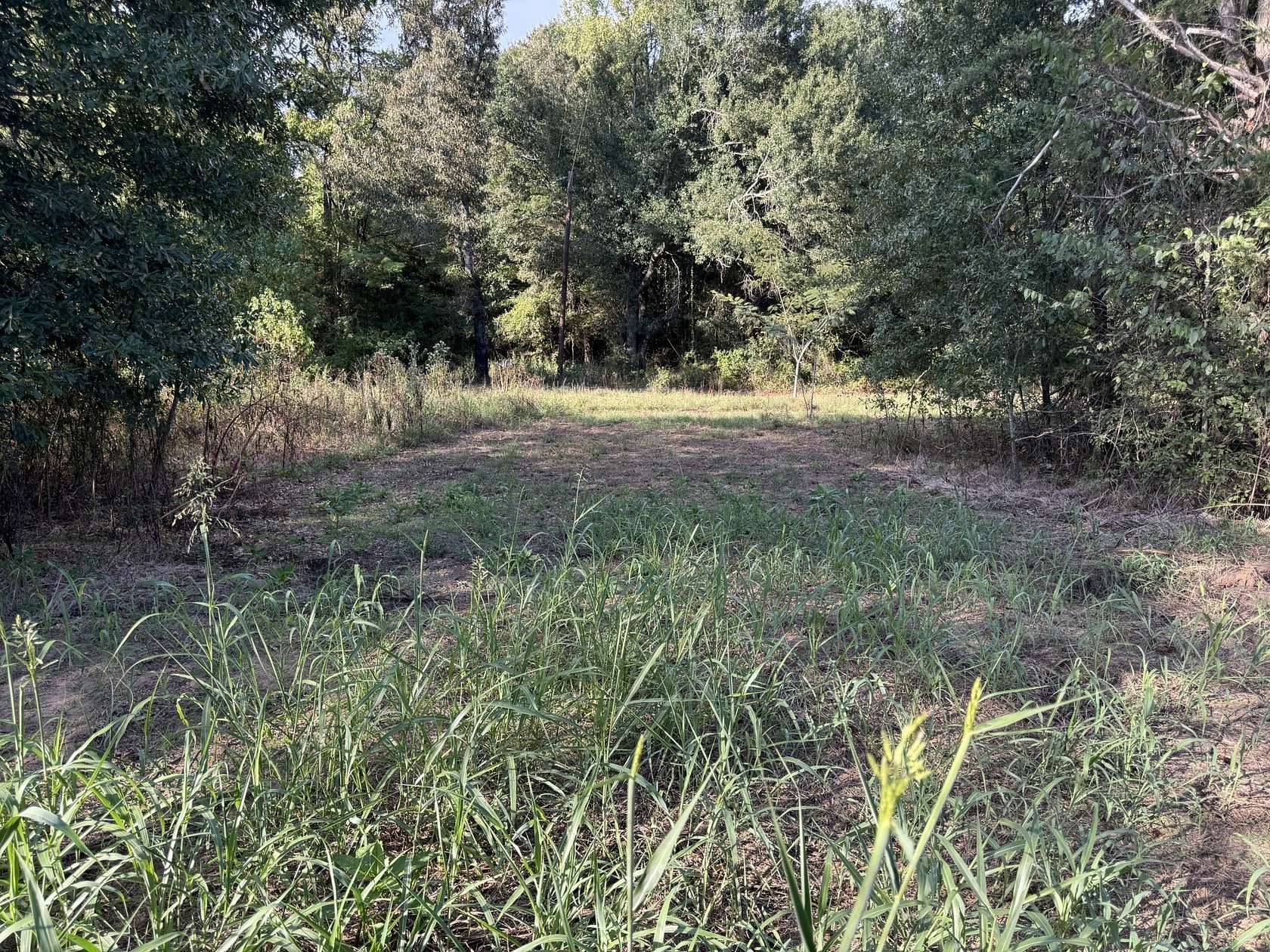 1.75 Acres of Residential Land for Sale in Bagwell, Texas