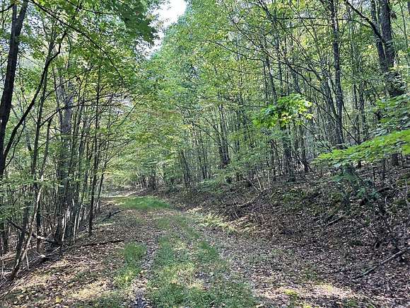 151 Acres of Recreational Land for Auction in Union, West Virginia