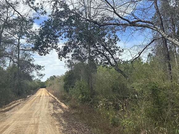 76.02 Acres of Recreational Land & Farm for Sale in Bonifay, Florida