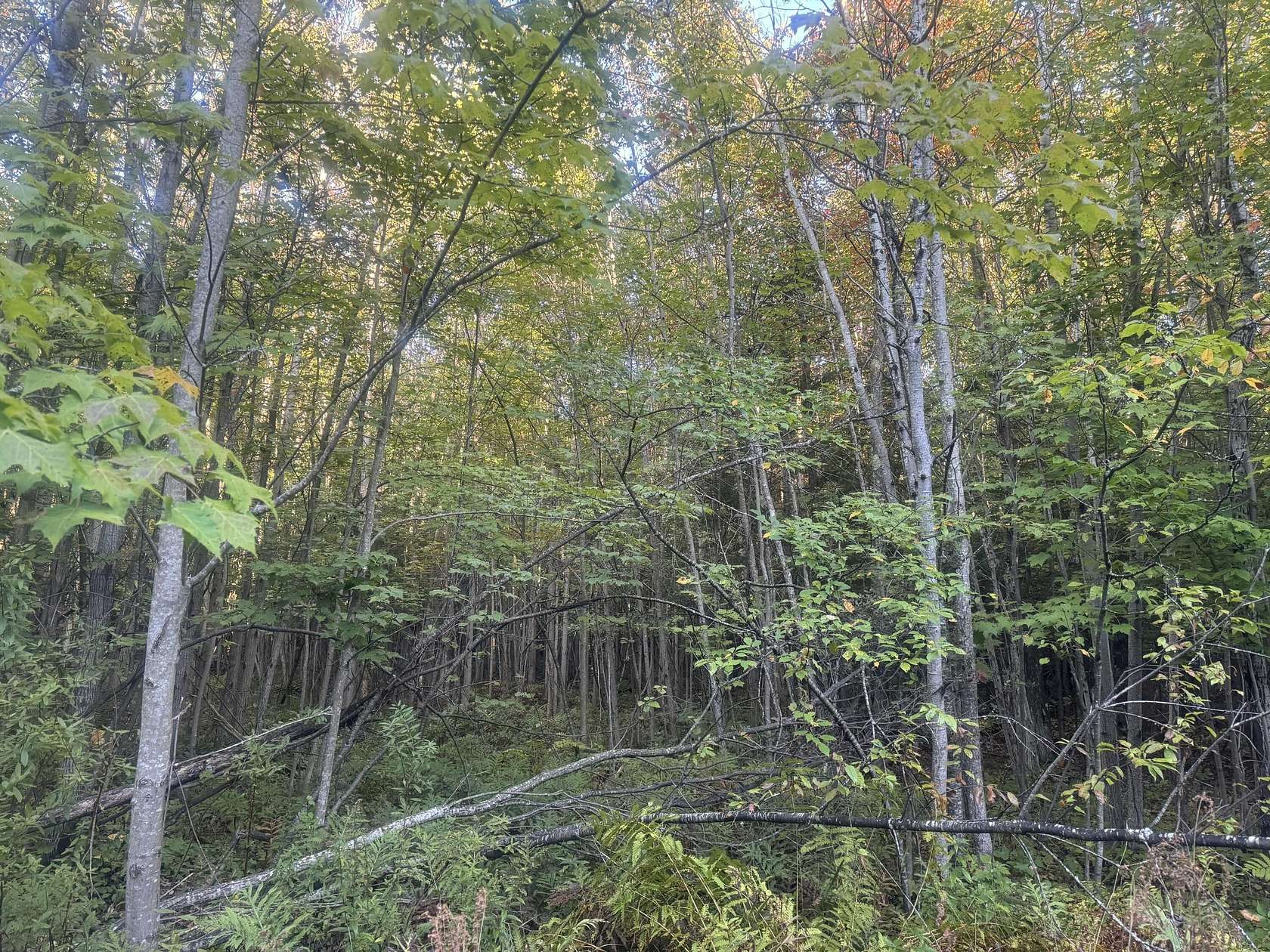 135 Acres of Improved Recreational Land for Sale in Engadine, Michigan