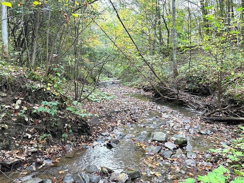 10.01 Acres of Recreational Land for Sale in Grove, New York