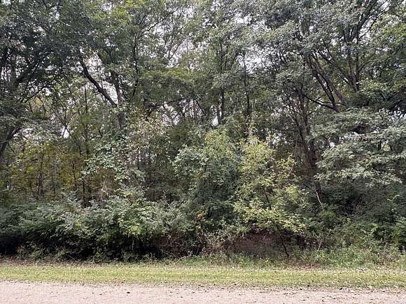 0.75 Acres of Land for Sale in Dixon, Illinois