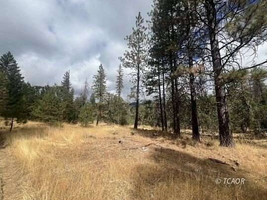 140 Acres of Land with Home for Sale in Platina, California