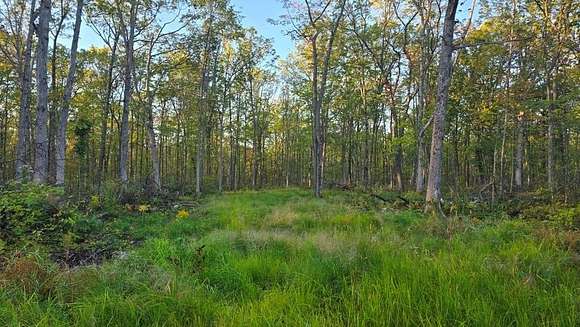 39.696 Acres of Land for Sale in Rice Lake, Wisconsin