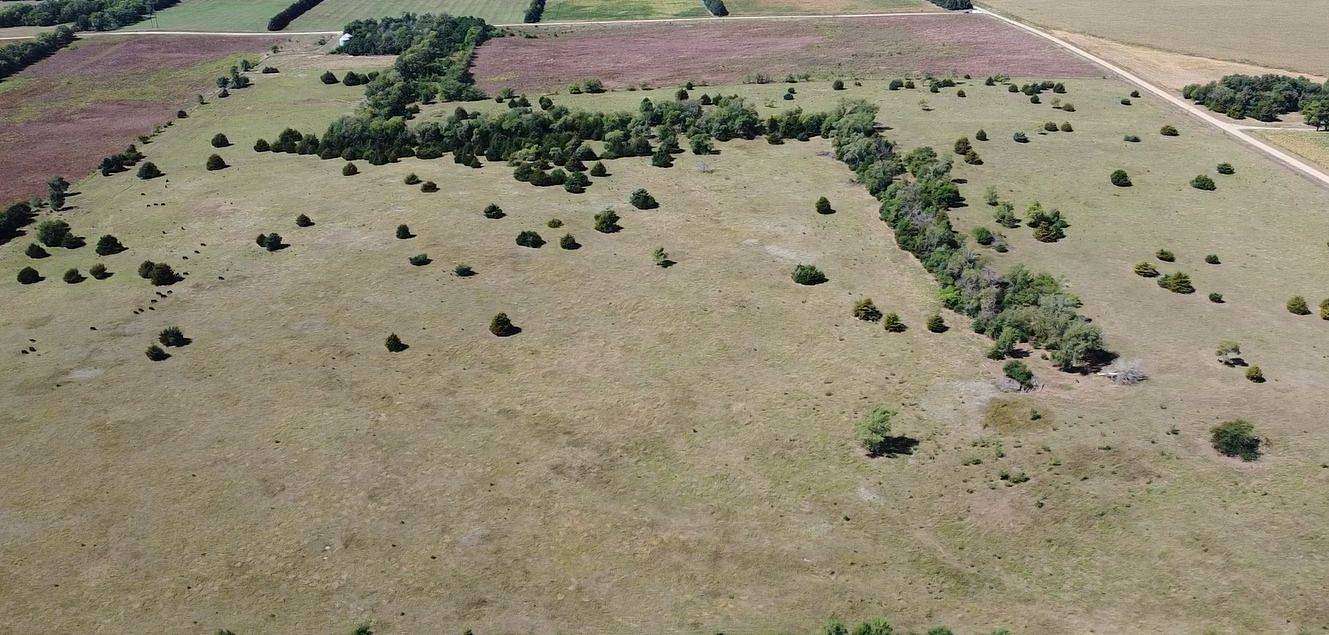 160 Acres of Recreational Land & Farm for Auction in Meadow Grove, Nebraska