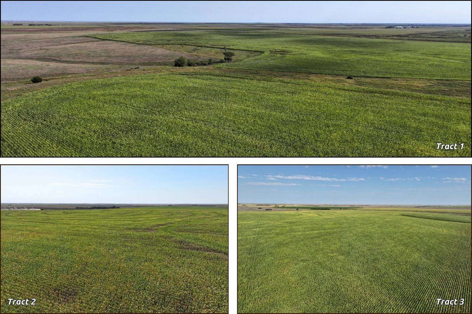 505.99 Acres of Agricultural Land for Auction in Hoxie, Kansas