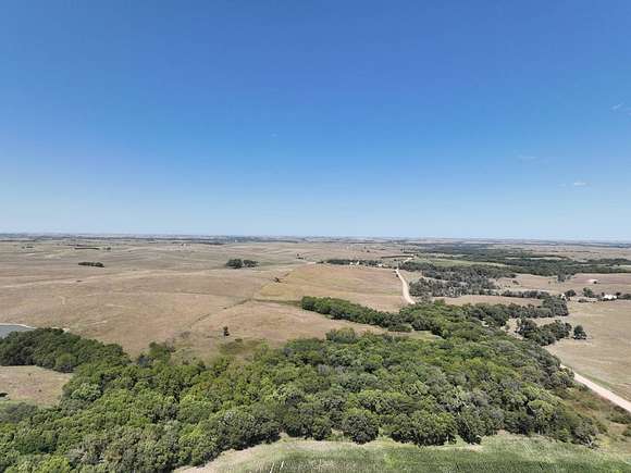 81.24 Acres of Recreational Land & Farm for Sale in Naponee, Nebraska