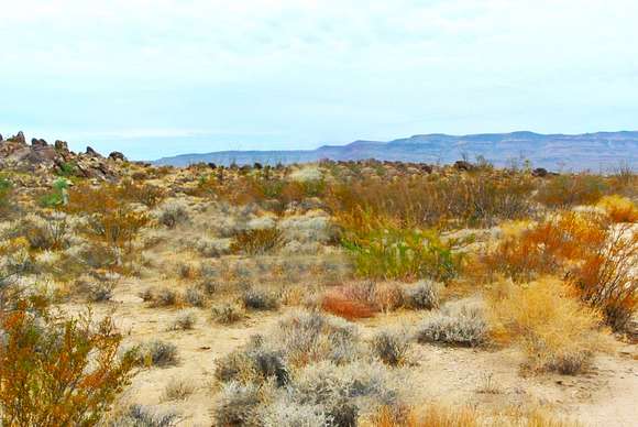 4.5 Acres of Residential Land for Sale in Yucca, Arizona