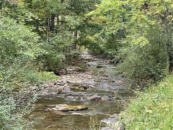 266 Acres of Recreational Land for Auction in Union, West Virginia